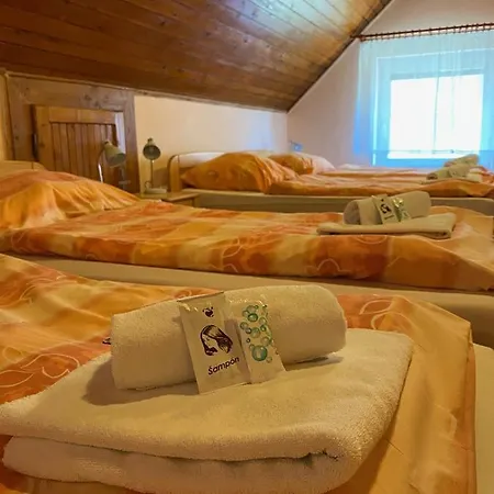 Penzion Zdiar Maison d'hôtes 2*