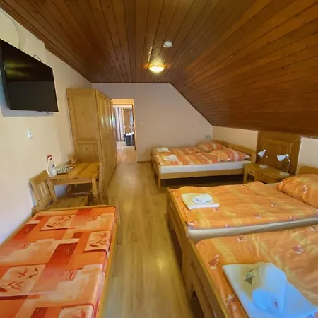 Penzión pre hostí Penzion Zdiar 2*